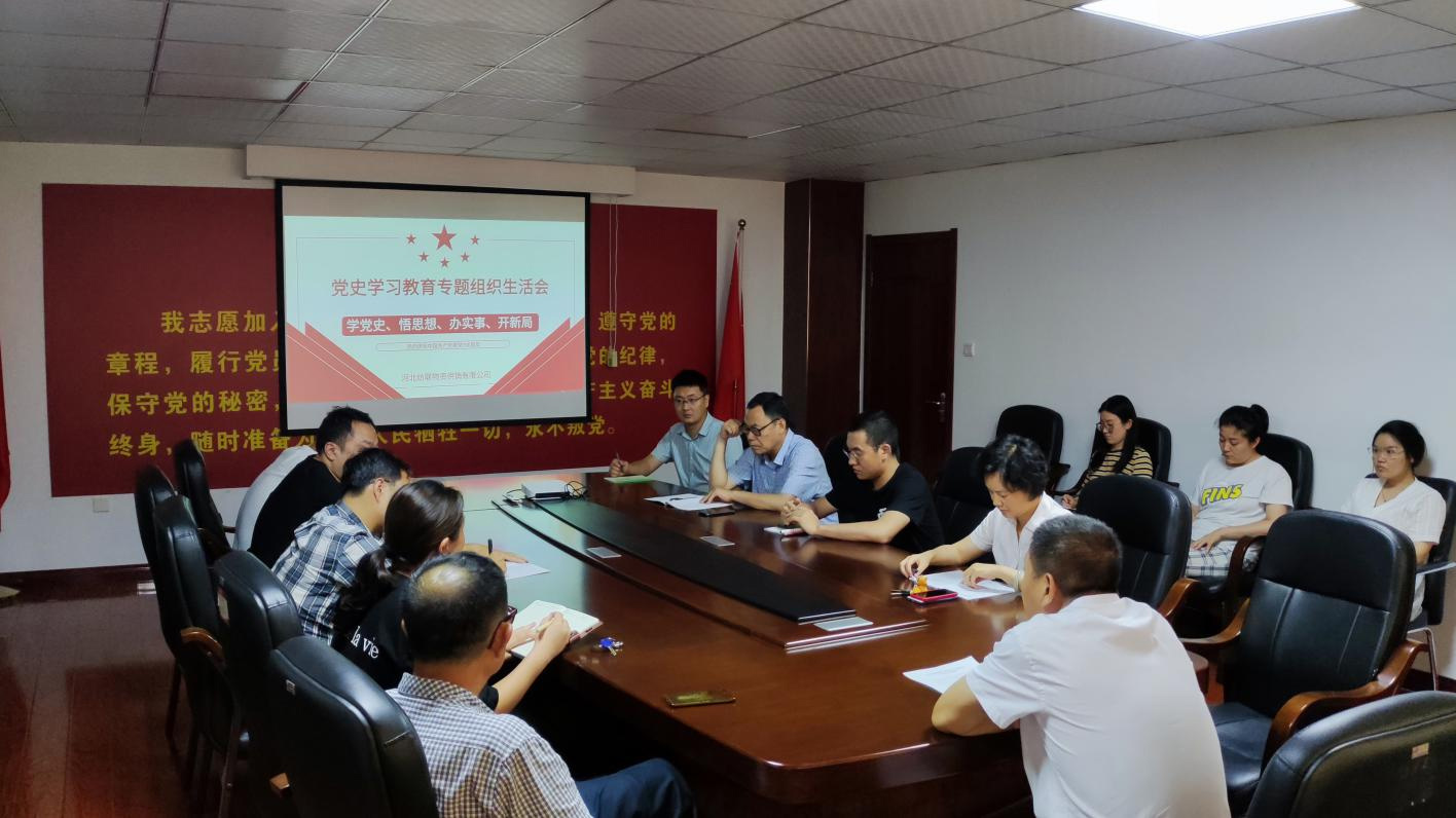 紡聯公司召開黨史學習教育專題組織生活會